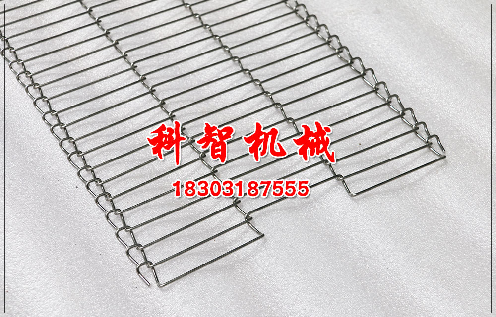 油炸機乙型網(wǎng)帶傳送帶廠家